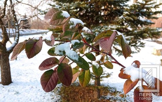 24 грудня у Кривому Розі очікується сніг та потепління