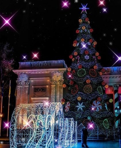 Как выглядят новогодние елки в Украине — лучшие фото | Новости Кривого Рога6