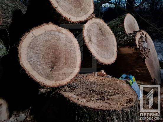 «Хто в ліс, а хто по дрова»: у Кривому Розі затримали браконьєрів | Новини Кривий Ріг7
