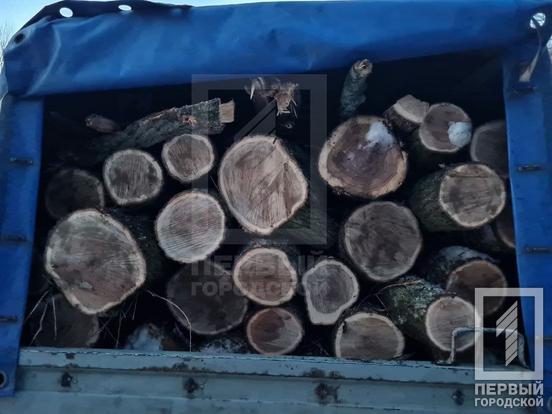 «Хто в ліс, а хто по дрова»: у Кривому Розі затримали браконьєрів | Новини Кривий Ріг1