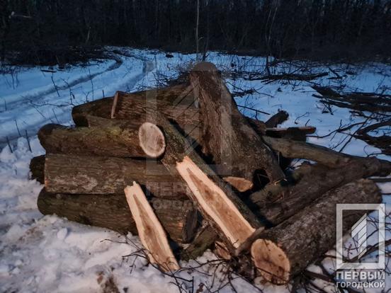 «Хто в ліс, а хто по дрова»: у Кривому Розі затримали браконьєрів | Новини Кривий Ріг5