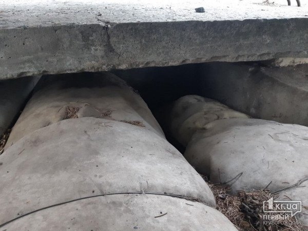 Криворізькі рятувальники витягли цуценя з колодязя | Новости Кривого Рога2