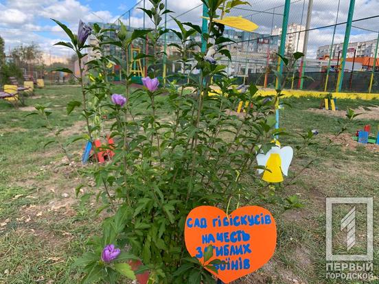 В одному з мікрорайонів Кривого Рогу облаштували «Сад гібіскусів» в пам’ять про полеглих у війні з окупантами військових4