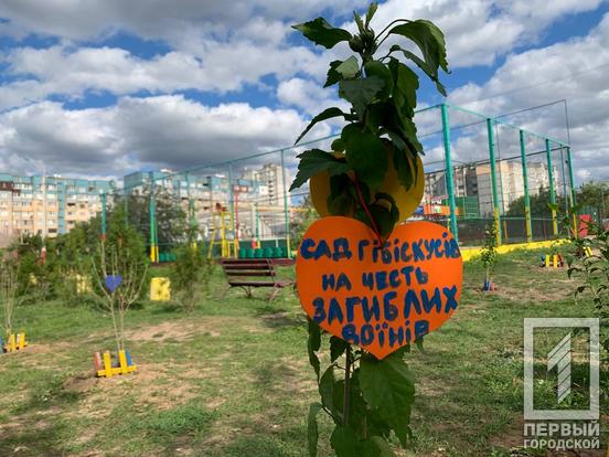 В одному з мікрорайонів Кривого Рогу облаштували «Сад гібіскусів» в пам’ять про полеглих у війні з окупантами військових7