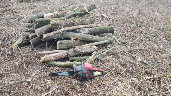 Нарубали дров на 5 років позбавлення волі: у Криворізькому районі спіймалі 