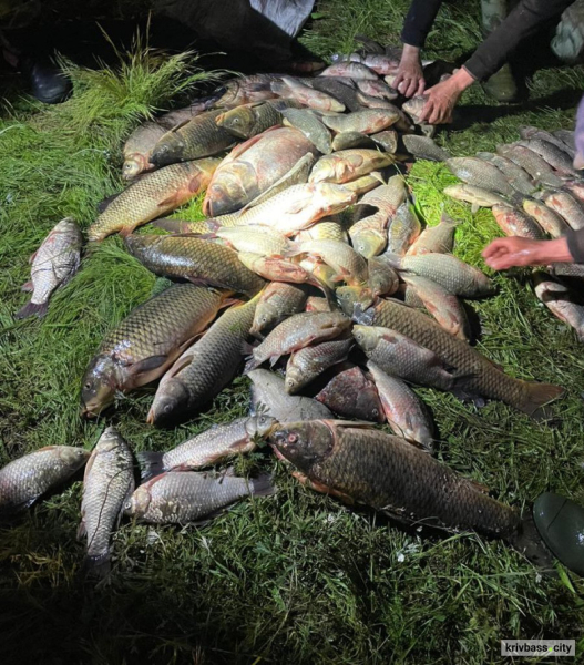 Рибний день: у Криворізькому районі троє рибалок витягли сітками понад центнер риби1