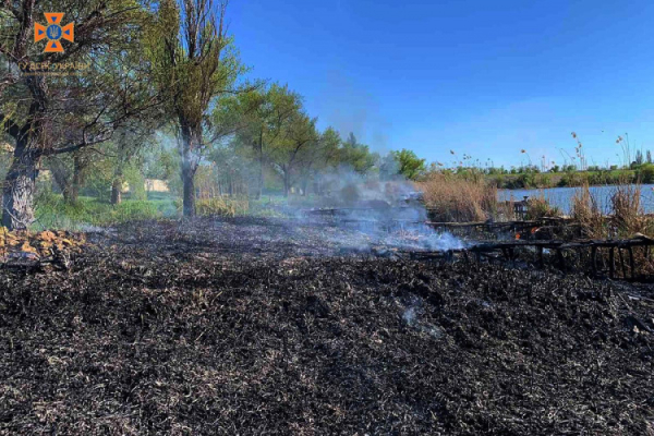 У Покровському районі сталася пожежа біля водойми: постраждали дві дитини0