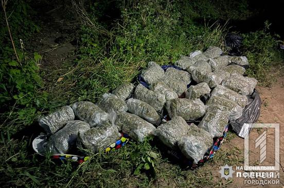 «Улов» на 9, 2 млн грн: криворіжці разом з киянами зробилися наркоділками на Черкащині2