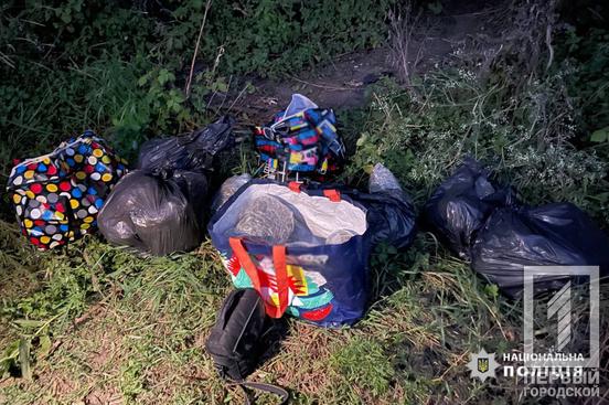 «Улов» на 9, 2 млн грн: криворіжці разом з киянами зробилися наркоділками на Черкащині1