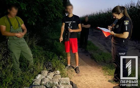 «Улов» на 9, 2 млн грн: криворіжці разом з киянами зробилися наркоділками на Черкащині