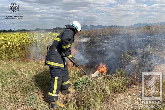 327 пожеж ліквідували вогнеборці на Дніпропетровщині протягом за тижня2