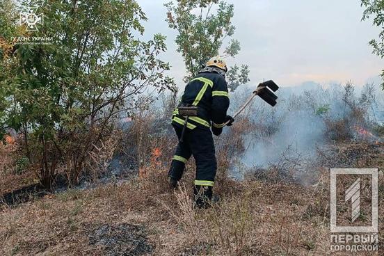 327 пожеж ліквідували вогнеборці на Дніпропетровщині протягом за тижня1