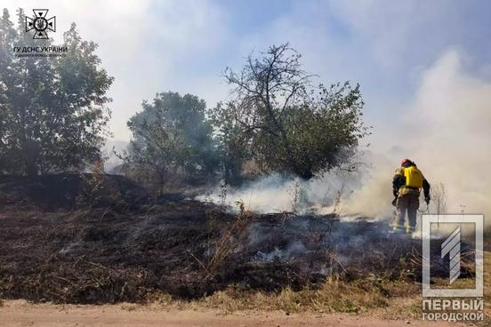 64 пожежі за добу: не нищити природу та не наражати на небезпеку себе та оточуючих закликали рятувальники Дніпропетровщини2