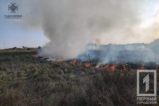 64 пожежі за добу: не нищити природу та не наражати на небезпеку себе та оточуючих закликали рятувальники Дніпропетровщини5