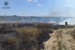 За останній тиждень надзвичайниками Дніпропетровщини ліквідовано 327 пожеж в екосистемах5