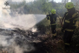 За останній тиждень надзвичайниками Дніпропетровщини ліквідовано 327 пожеж в екосистемах6
