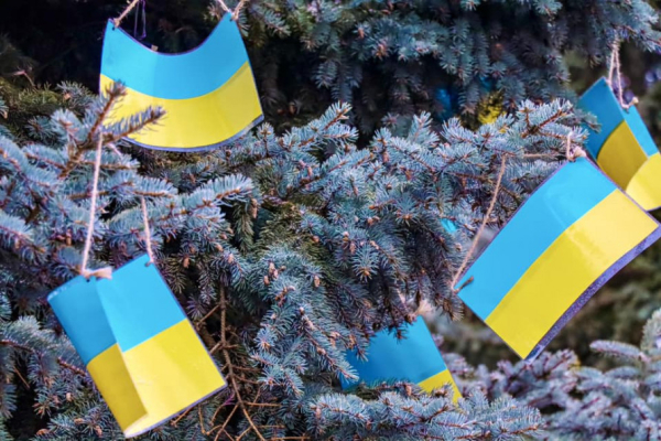 Ялинка Незламності з’явилася у одній з громад Криворіжжя: як і чим її прикрашали4