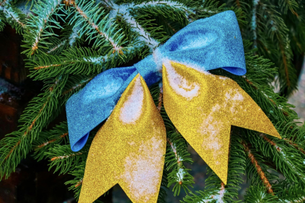 Ялинка Незламності з’явилася у одній з громад Криворіжжя: як і чим її прикрашали5