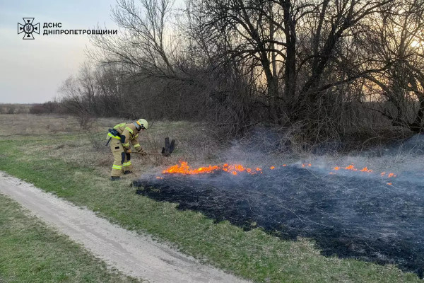 На Дніпропетровщині протягом доби вогонь знищив понад 60 га природних екосистем4