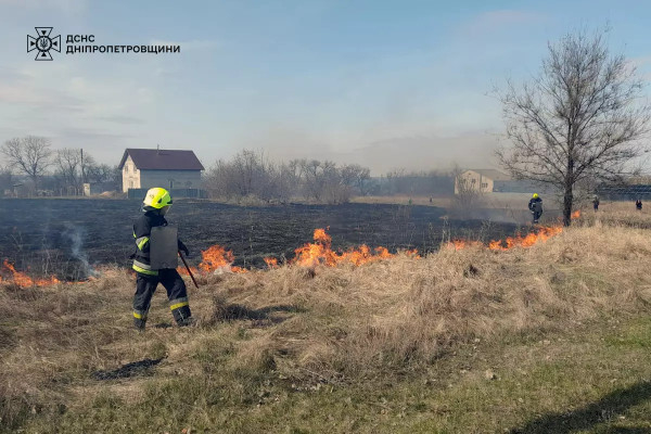 На Дніпропетровщині протягом доби вогонь знищив понад 60 га природних екосистем3