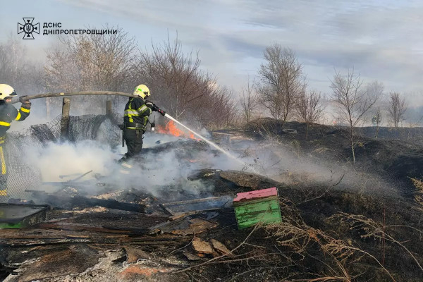 На Дніпропетровщині протягом доби вогонь знищив понад 60 га природних екосистем2