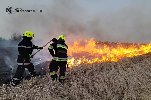 На Дніпропетровщині протягом доби вогонь знищив понад 60 га природних екосистем0