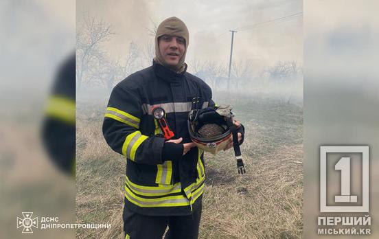 Намагався втекти із вогняної пастки: криворізькі надзвичайники врятували на пожежі їжачка