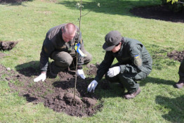 Криворізькі гвардійці долучилися до екологічної акції та висадили дерева у місті4