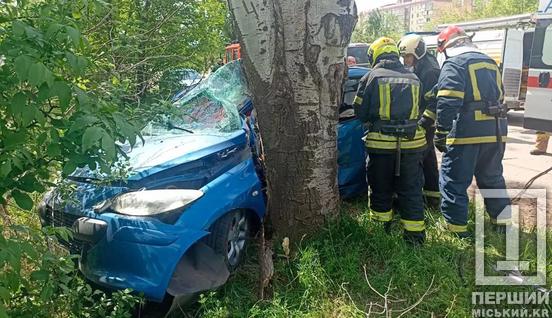 Влетіли у дерево: у Кривому Розі на вулиці Миколи Світальського легковик потрапив у ДТП, є постраждала дитина4