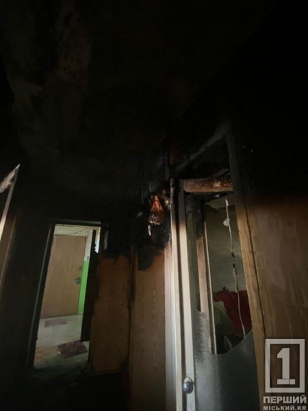 Біда через електролічильник: у Кривому Розі на вулиці Панаса Мирного вирувала пожежа5