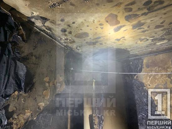 Могла отруїтися чадним газом: у пожежі у Металургійному районі Кривого Рогу постраждала жінка1