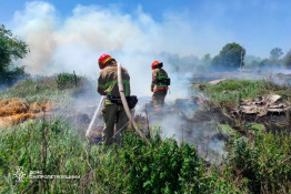 На Дніпропетровщині протягом доби рятувальники ліквідували 56 пожеж в екосистемах4