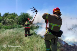 На Дніпропетровщині протягом доби рятувальники ліквідували 56 пожеж в екосистемах3