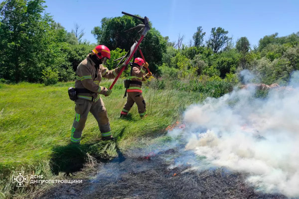 На Дніпропетровщині протягом доби рятувальники ліквідували 56 пожеж в екосистемах2