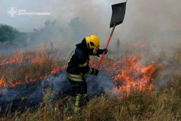 На Дніпропетровщині протягом доби рятувальники ліквідували 56 пожеж в екосистемах0