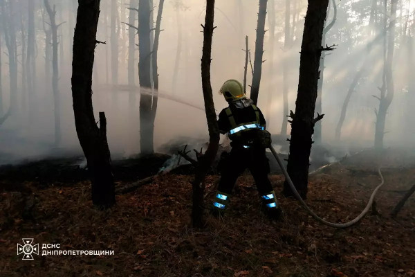 В екосистемах Дніпропетровщини збільшується кількість пожеж, минулої доби сталося 41 займання1