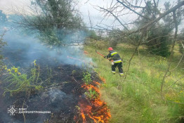 В екосистемах Дніпропетровщини збільшується кількість пожеж, минулої доби сталося 41 займання4