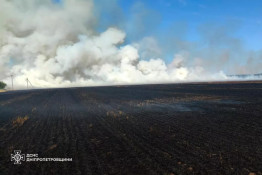 Вогнеборці ліквідували 36 пожеж в екосистемах1