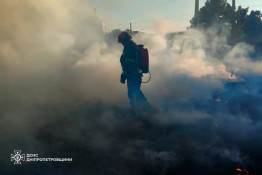 Вогнеборці ліквідували 36 пожеж в екосистемах3