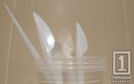 Одноразовий посуд та пластикові лоточки – табу: в Україні можуть заборонити низку товарів