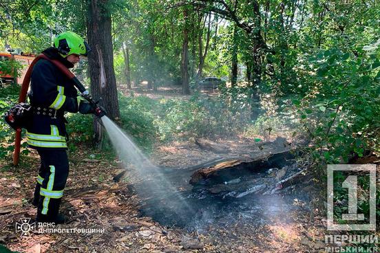 Понад 87 гектарів пекла: 9 липня Дніпропетровщина палала 67 разів1