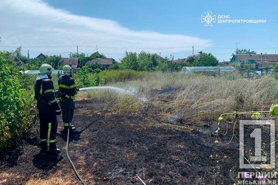 Понад 87 гектарів пекла: 9 липня Дніпропетровщина палала 67 разів2