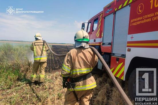 Понад 87 гектарів пекла: 9 липня Дніпропетровщина палала 67 разів3