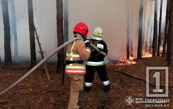 Понад 87 гектарів пекла: 9 липня Дніпропетровщина палала 67 разів