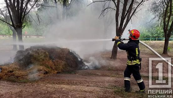 Пожежна небезпека триває: на Дніпропетровщині 5 липня згоріло понад 35 га території4