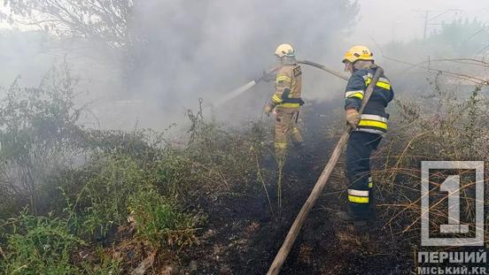 Пожежна небезпека триває: на Дніпропетровщині 5 липня згоріло понад 35 га території3