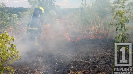 Пожежна небезпека триває: на Дніпропетровщині 5 липня згоріло понад 35 га території1