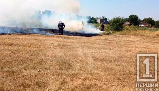 Пожежна небезпека триває: на Дніпропетровщині 5 липня згоріло понад 35 га території2