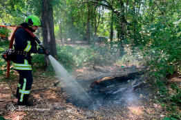 В екосистемах Дніпропетровщини протягом минулої доби сталося 67 пожеж0