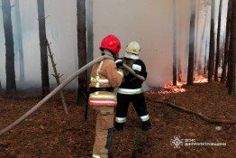 В екосистемах Дніпропетровщини протягом минулої доби сталося 67 пожеж1
